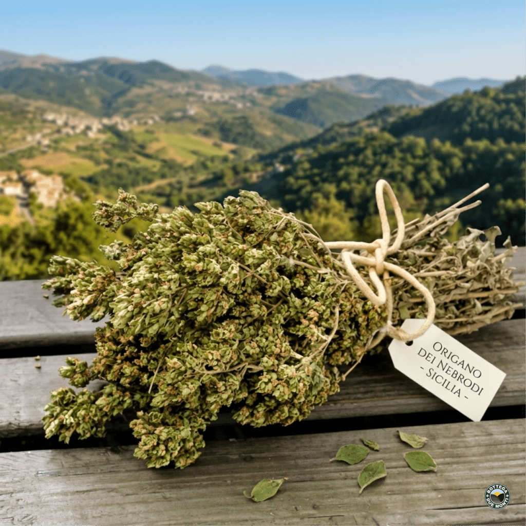 oregano bund