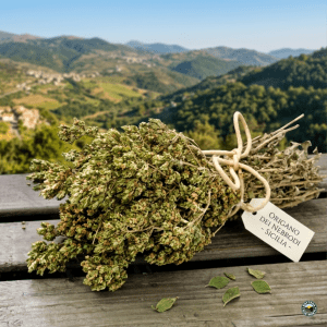 oregano bund